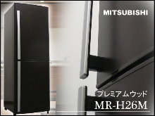 1-MITSUBISHI256L